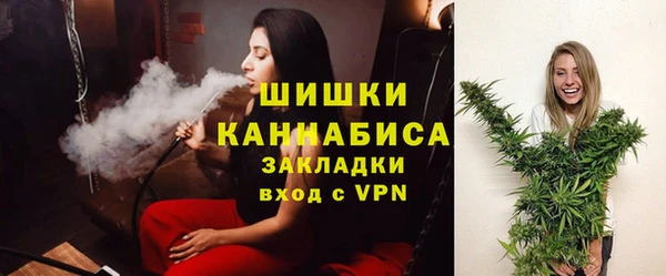 прущие грибы Бикин