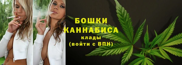 твердый Билибино