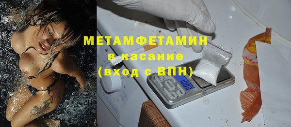 прущие грибы Бикин