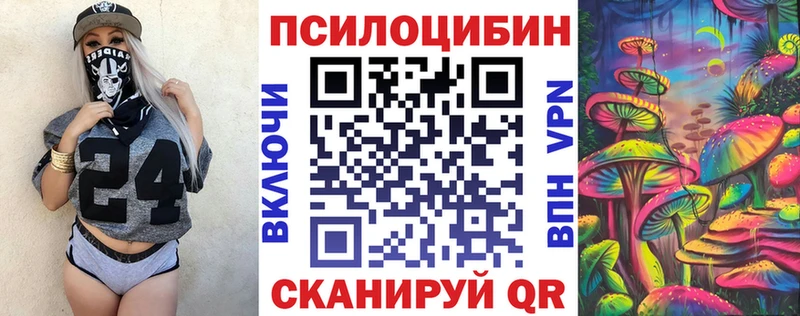 blacksprut ссылка  купить наркотики цена  Алейск  Псилоцибиновые грибы Psilocybe 