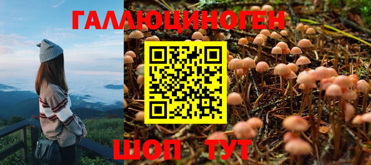 Псилоцибиновые грибы GOLDEN TEACHER  Алейск 