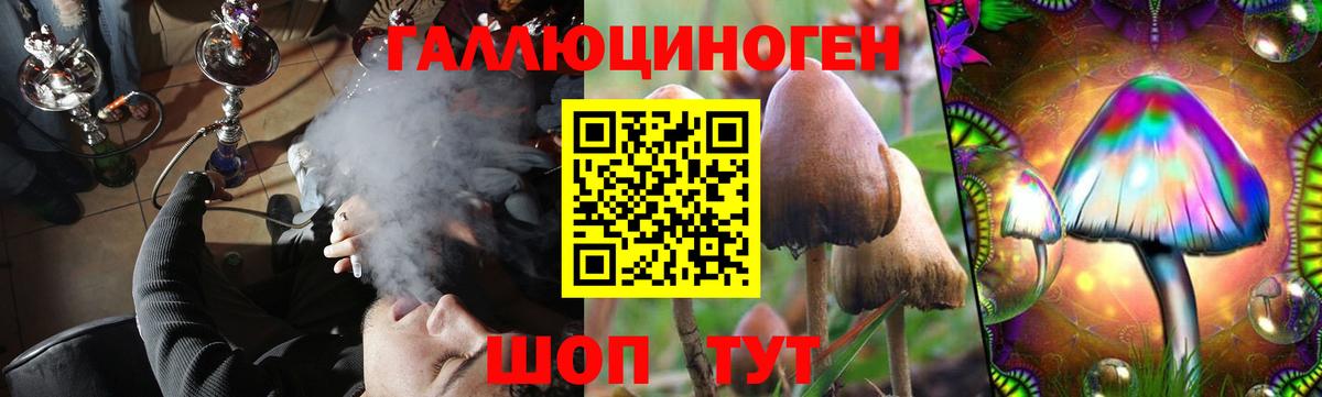 где можно купить наркотик  Псилоцибиновые грибы Psilocybine cubensis  Вход с VPN  Алейск 